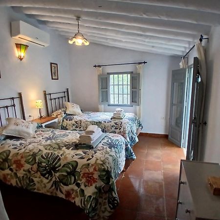 Cortijo Tipico Andaluz En La Sierra Cerca De Frigiliana De Nerja Y De Las Playas Eksteriør billede
