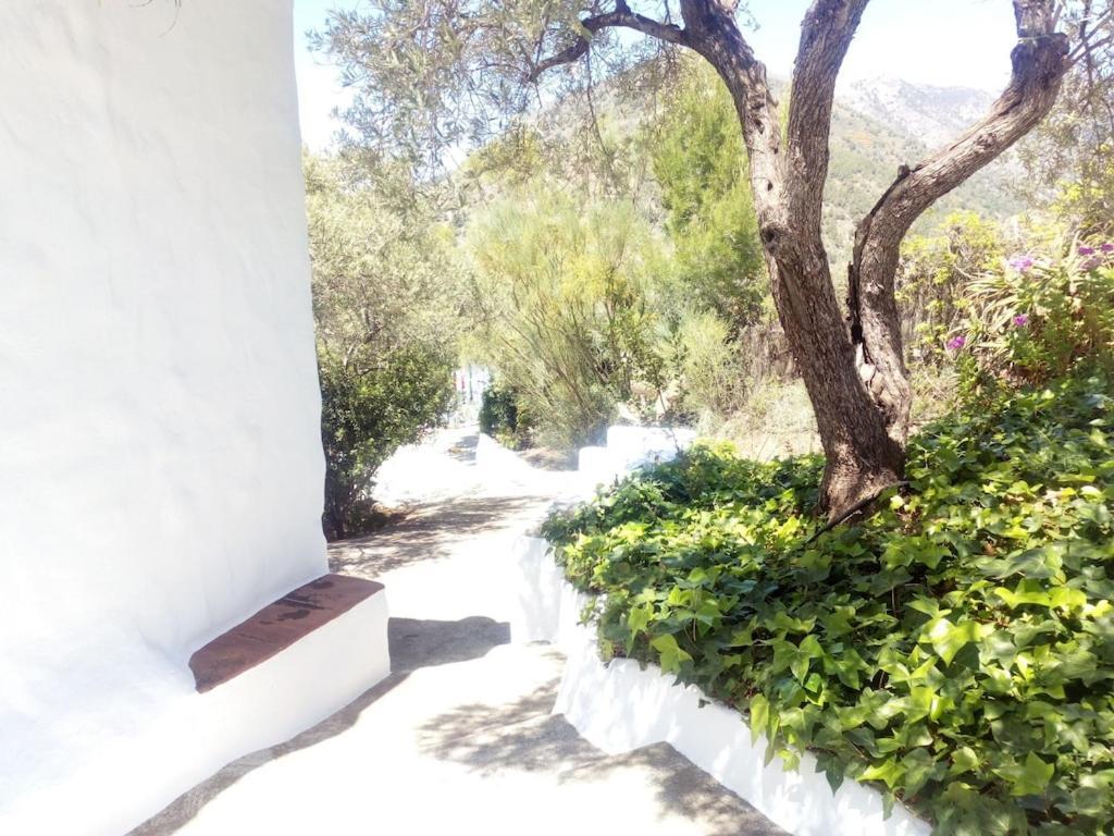 Cortijo Tipico Andaluz En La Sierra Cerca De Frigiliana De Nerja Y De Las Playas Eksteriør billede