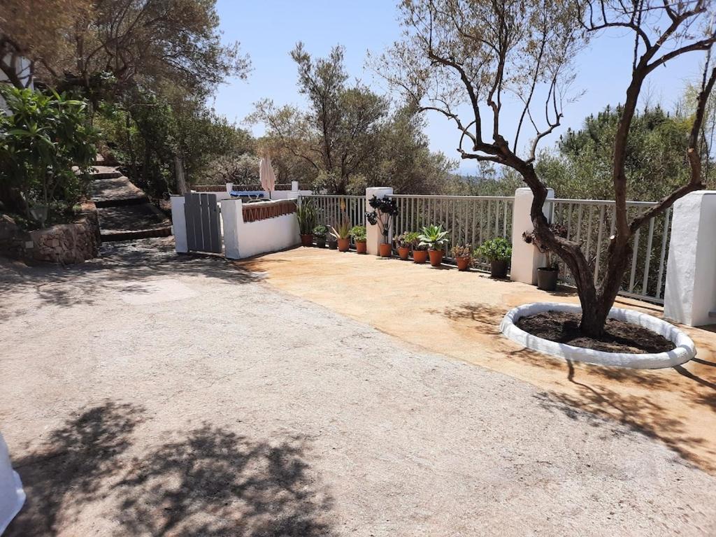 Cortijo Tipico Andaluz En La Sierra Cerca De Frigiliana De Nerja Y De Las Playas Eksteriør billede